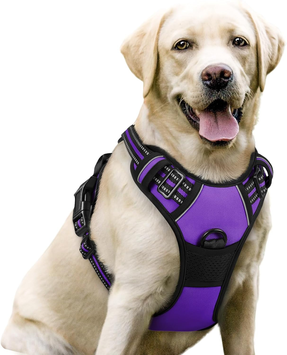 rabbitgoo-dog-harness-no-pull-for-large-dogs-with-2-leash-clips-pet-vest-no-choke-with-handle-adjustable-soft-padded-reflective-easy-control-for-walking-black-large