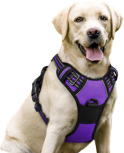 Rabbitgoo Dog Harness, No Pull for Large Dogs with 2 Leash Clips, Pet Vest | No Choke with Handle, Adjustable Soft Padded, Reflective, Easy Control for Walking, Black, Large67
