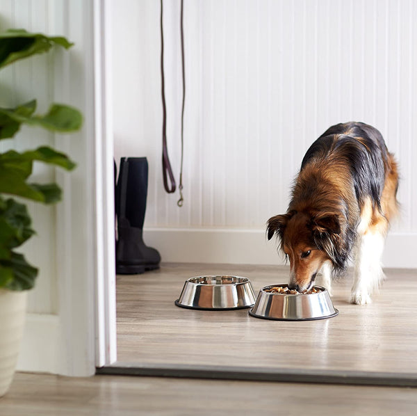 Amazon Basics Stainless Steel Non-Skid Dog Water and Food Bowls, Dishwasher Safe, Rust Resistant, 38Oz Capacity, 10 X 2.8 Inches, 2-Pack5