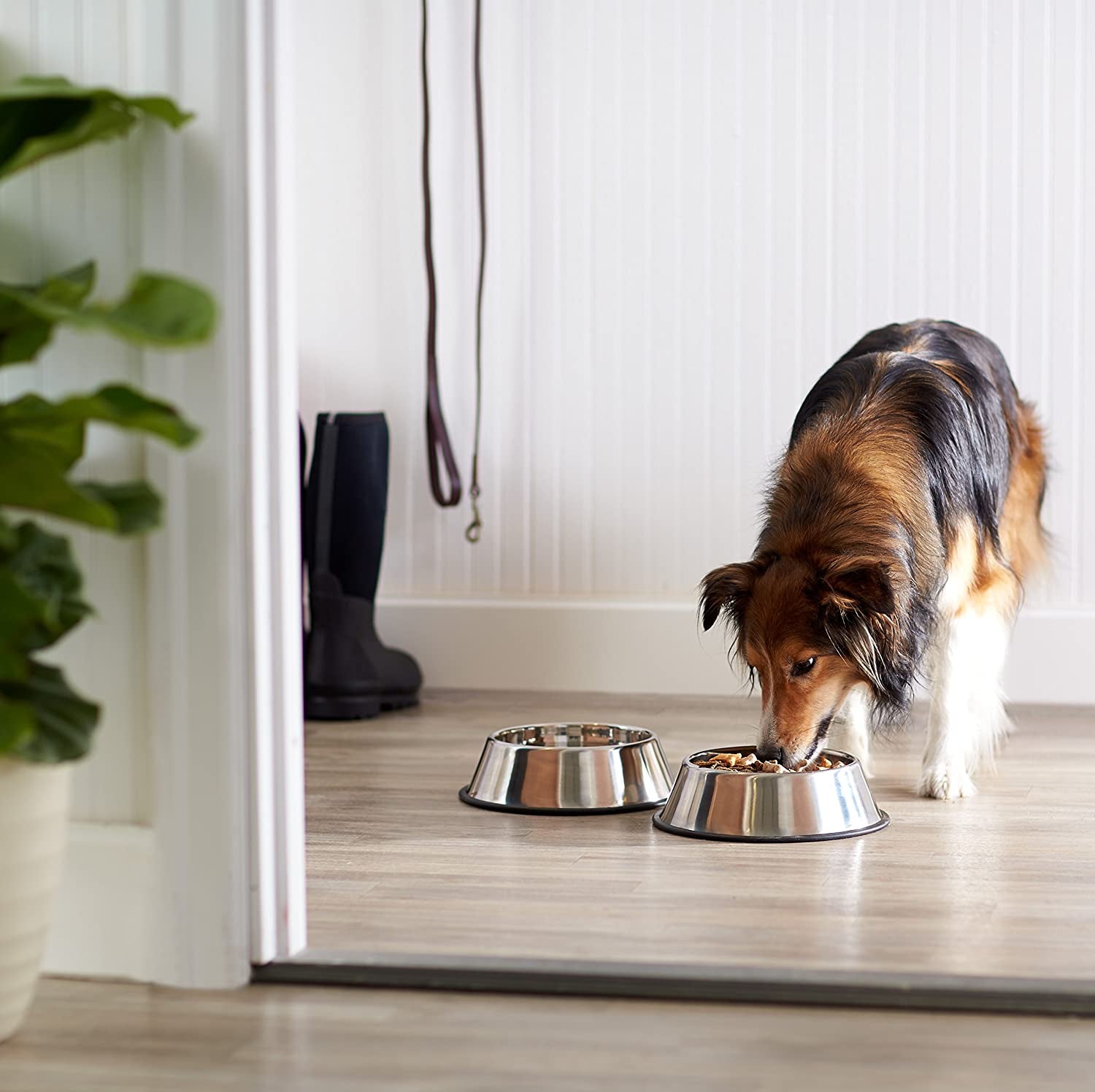 amazon-basics-stainless-steel-non-skid-dog-water-and-food-bowls-dishwasher-safe-rust-resistant-38oz-capacity-10-x-2-8-inches-2-pack