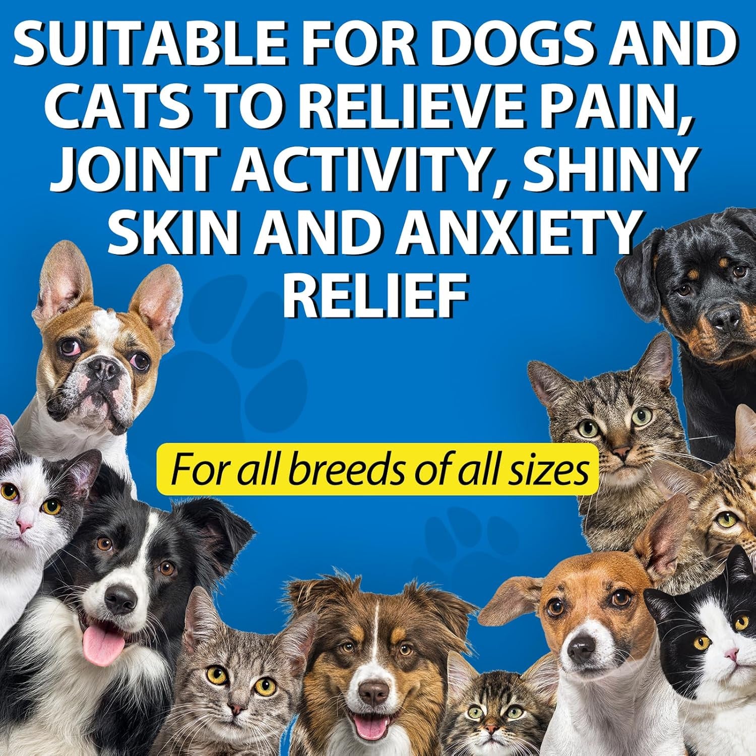 oil-for-dogs-cats-60ml-pet-oil-for-pain-skin-arthritis-pain-pain-relief-calming-omega-3-6-9-for-dog-emotions-barking-dog-joints-supports-maintains-healthy-joints-1-pack-blue