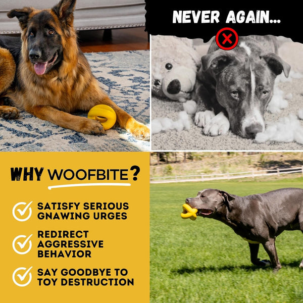 Indestructible Dog Ball - Lifetime Replacement - Durable Dog Toy for Aggressive Chewers - Safe, Non-Toxic Natural Rubber - Chew, Tug & Fetch - Tough, Heavy Duty Chew Toy - 4” (Softball Size)7