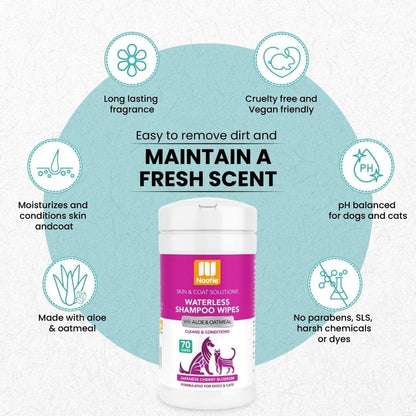Nootie Waterless Shampoo Wipes for Dogs & Cats - Long Lasting Japanese Cherry Blossom Fragrance - Sold in over 10,000 Vet Clinics and Pet Stores Worldwide, Made in USA - 70 Count4