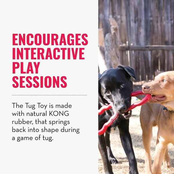 KONG Tug Toy - Dog Supplies for Tug of War - Natural Rubber Dog Toy for Outdoor & Indoor Playtime - for Medium/Large Dogs3