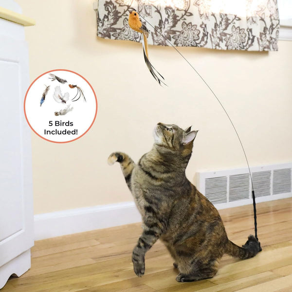 Whiskertons Interactive Bird Simulation Cat Toy Set, Interactive Cat Toys for Indoor Cats, Cat Feather Toy, Self-Holding Suction Base, 5 Replacement Birds, Feathers & Bells, Realistic Bird Impression3