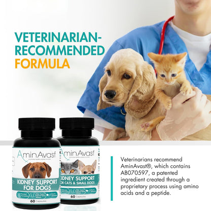 Aminavast 300Mg Kidney Support for Cats & Small Dogs, 60 Sprinkle Capsules | Feed Directly or Open Capsules & Mix with Food, Amino Acid and Peptide Blend for Cats and Small Dogs up to 20Lb8