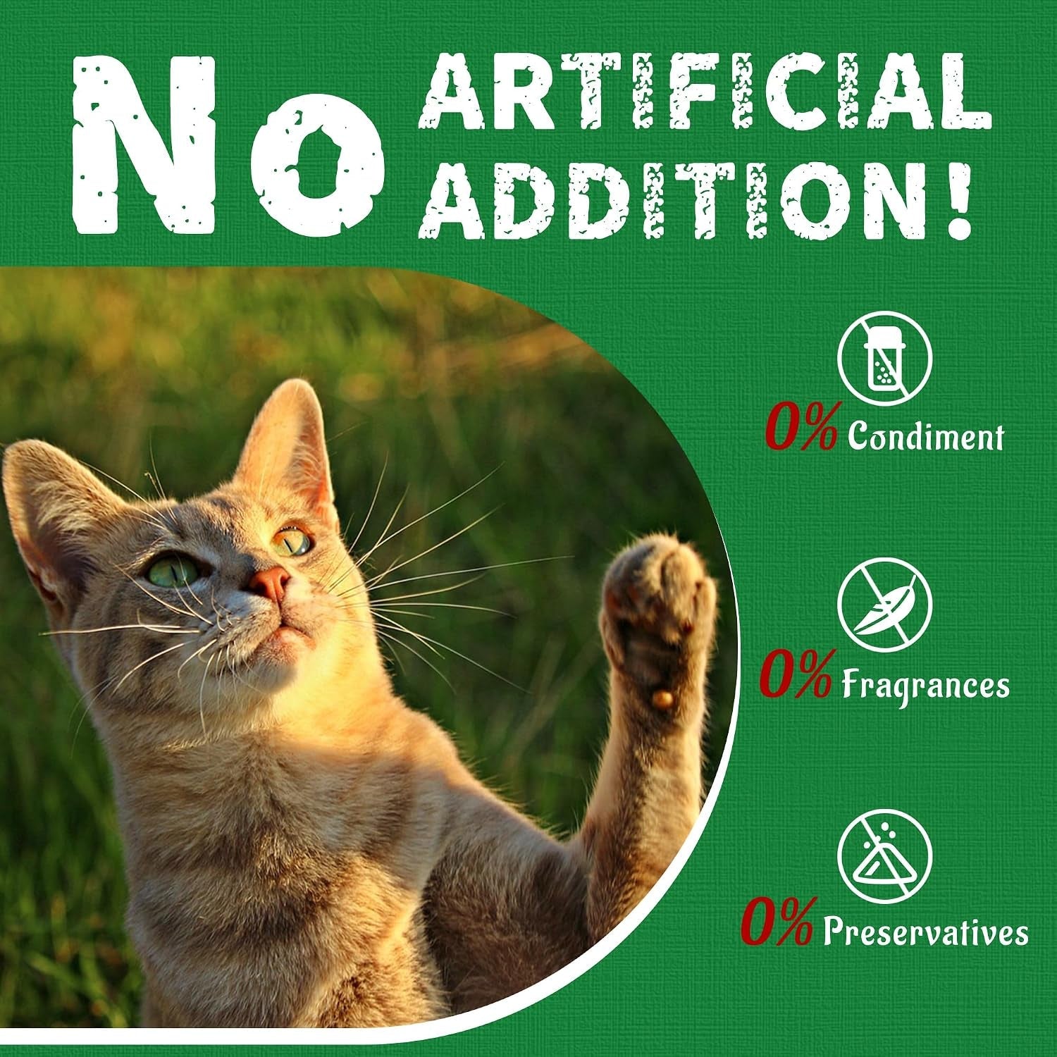 just-try-14-oz-cat-grass-treats-for-indoor-cats-hairball-control-salmon-flavor-dental-care-catnip-for-cats-crunchy-kitten-snacks-training-biscuits
