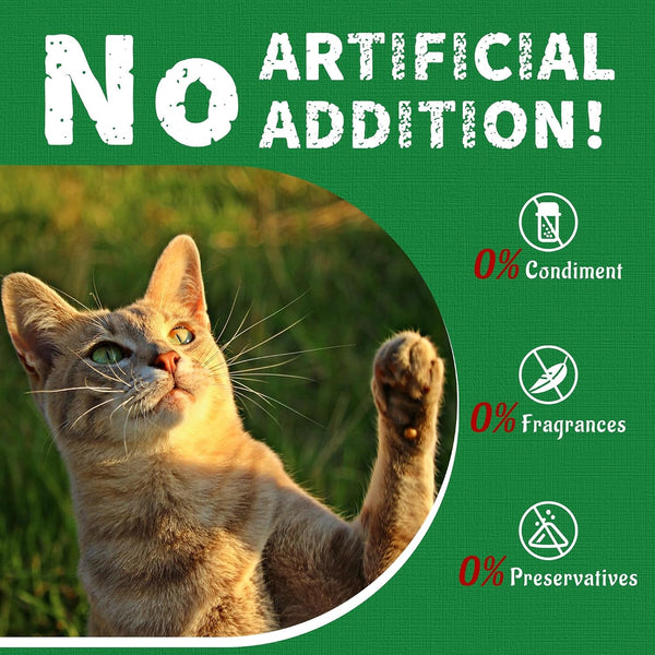 Just Try 14 OZ Cat Grass Treats for Indoor Cats Hairball Control | Salmon Flavor,Dental Care,Catnip for Cats,Crunchy Kitten Snacks,Training Biscuits9