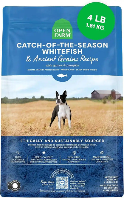 Open Farm Ancient Grains Dry Dog Food, Wild Caught Salmon Kibble, 22Lb Bag | All Life Stages, All Breed Sizes, Protein-Rich & Nutrient Dense, 100% Traceable Ingredients, Non-Gmo Fruits & Veggies.33