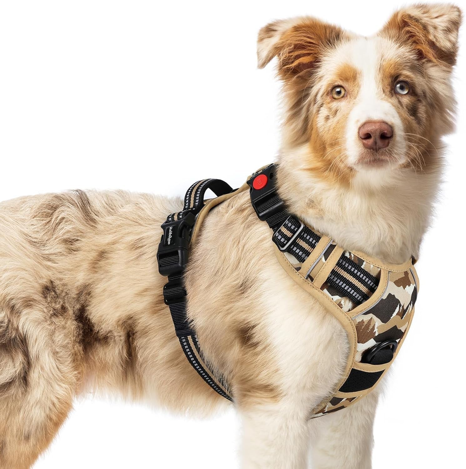 rabbitgoo-dog-harness-medium-sized-updated-easy-on-off-with-3-buckles-no-pull-no-choke-walking-with-2-clips-and-handle-adjustable-soft-reflective-blue-medium