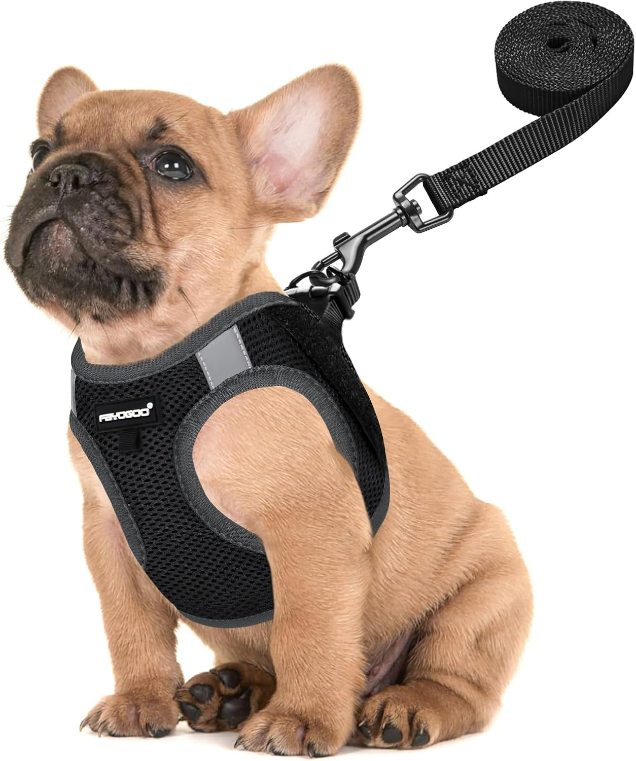 fayogoo-service-dog-vest-for-small-dogs-lightweight-dog-harness-with-6pcs-removable-patches-puppy-harness-and-leash-set-for-walking-training