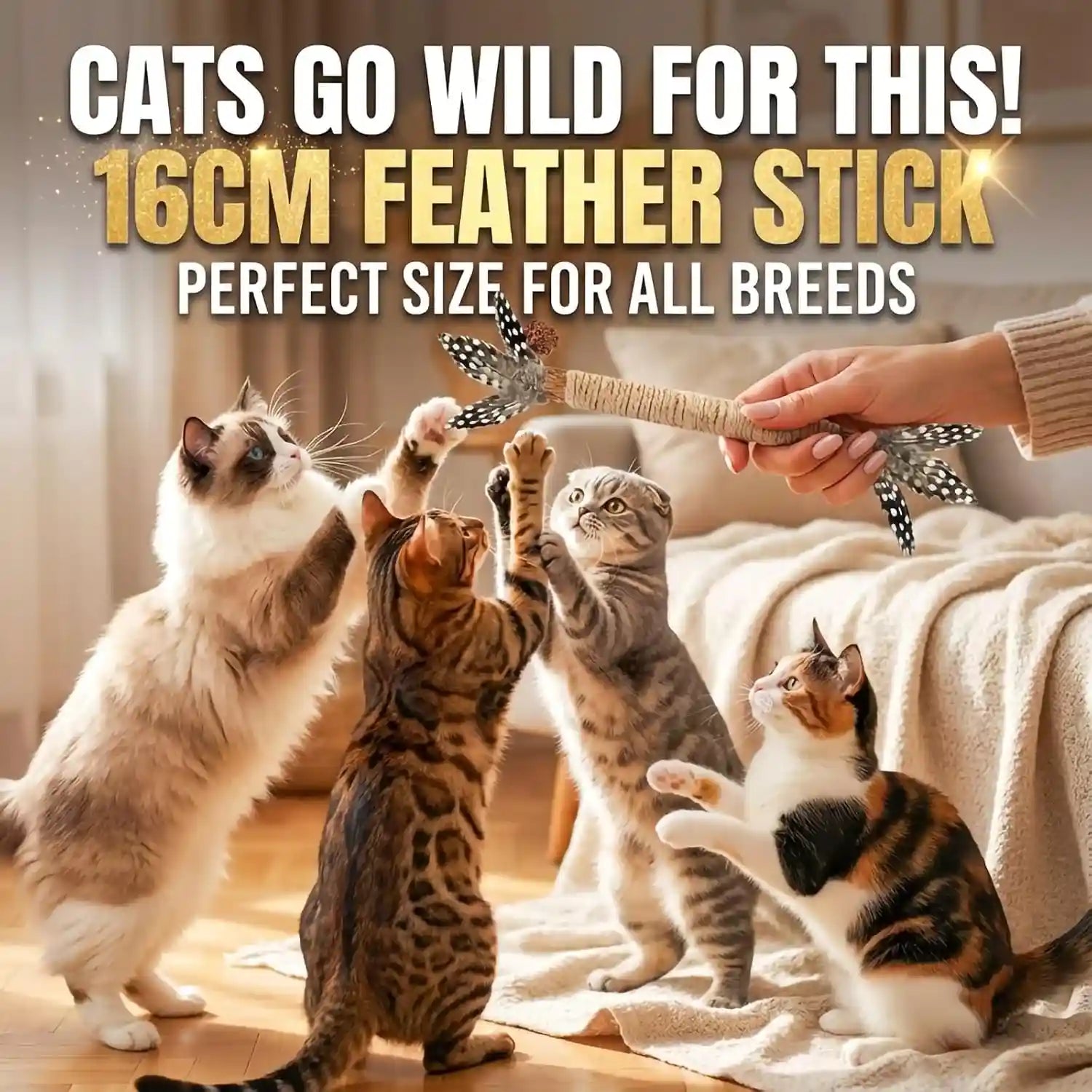 cat-chew-toys-silvervine-sticks-dental-treat-feather-7pack-indoor-real-feathers-silvervine-dual-action-chew-chase-soothes-teething-cleans-teeth-relieves-boredom-indoors-safe-durable-7pk-set