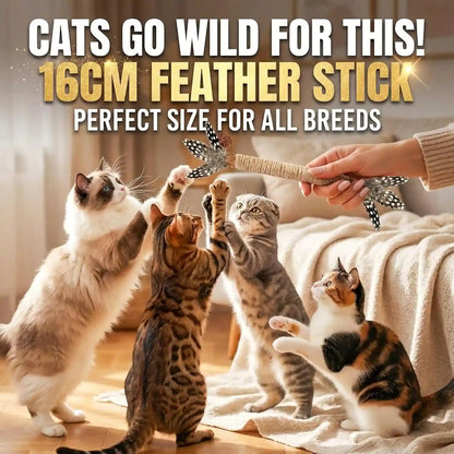 Cat Chew Toys Silvervine Sticks Dental Treat Feather 7Pack Indoor | Real Feathers Silvervine Dual-Action Chew Chase Soothes Teething, Cleans Teeth Relieves Boredom Indoors Safe Durable 7PK Set4