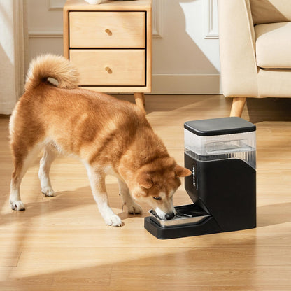 ZOMISIA Automatic Dog Water Dispenser 8L with Stainless Steel Bowl, Gravity Large Capacity Water Bowl for Dogs, 2 Gallon Pet Waterer 100% BPA Free, Black7