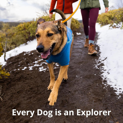 Ruffwear, Roamer Bungee Dog Leash for Running, Biking or Hiking, Can Be Used Hand-Held or Hands-Free, River Rock Green, 5.5'-7'9