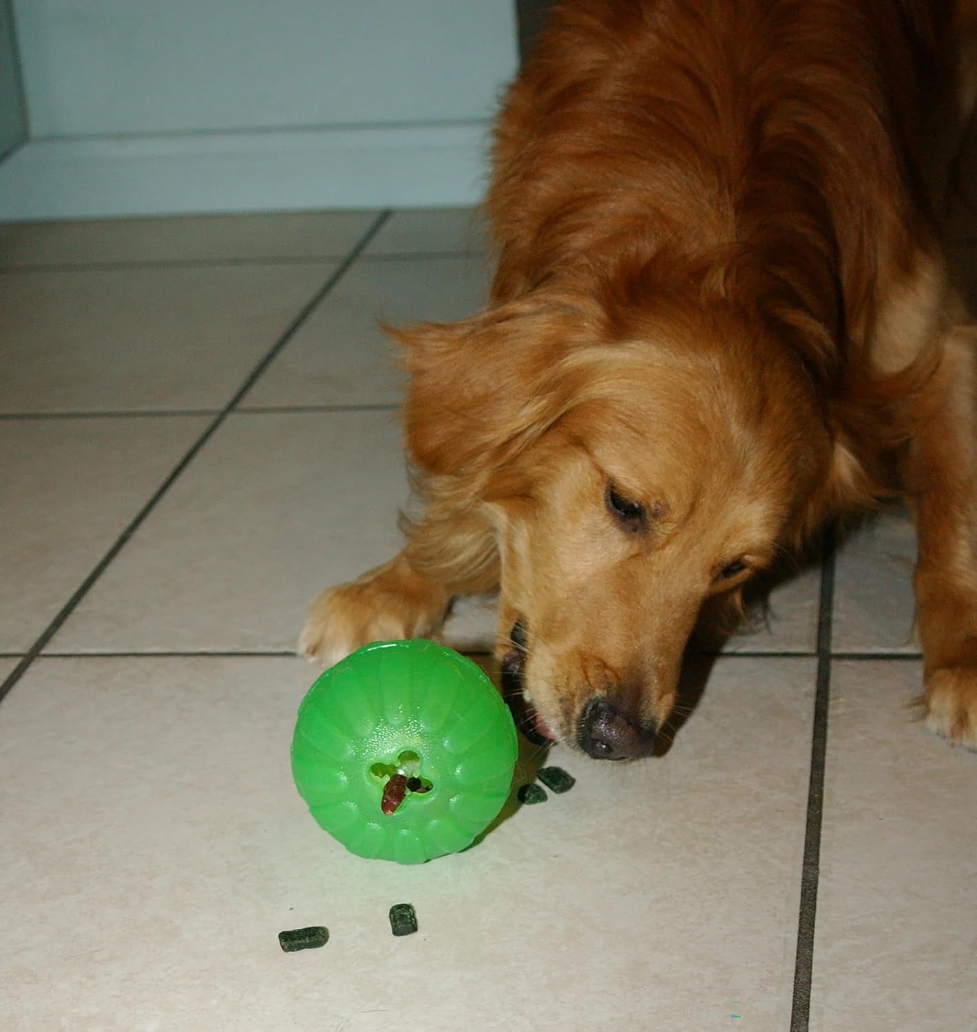 treat-dispensing-chew-ball-large