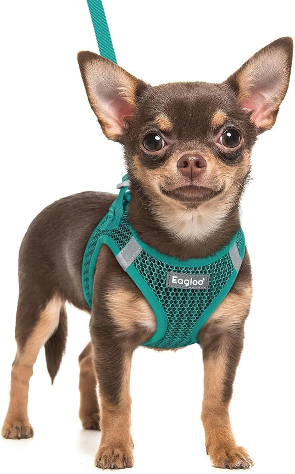 Eagloo Small Dog Harness and Leash Set, Step in Small Sized Puppy Pet Vest | Light, Soft, Breathable Air Mesh, Easy on and off with Hook & Loop, Reflective for Safe Walking, Pink, S20