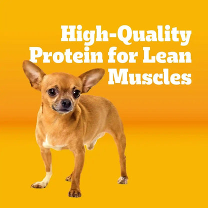 Pedigree Small Dogs Dry Dog Food, Roasted Chicken and Vegetable, 14 Lb | 36 Vitamins, Minerals & Amino Acids, Omega-6 & Zinc for Skin and Coat, Natural Fibers for Digestion, Supports Immune Health2