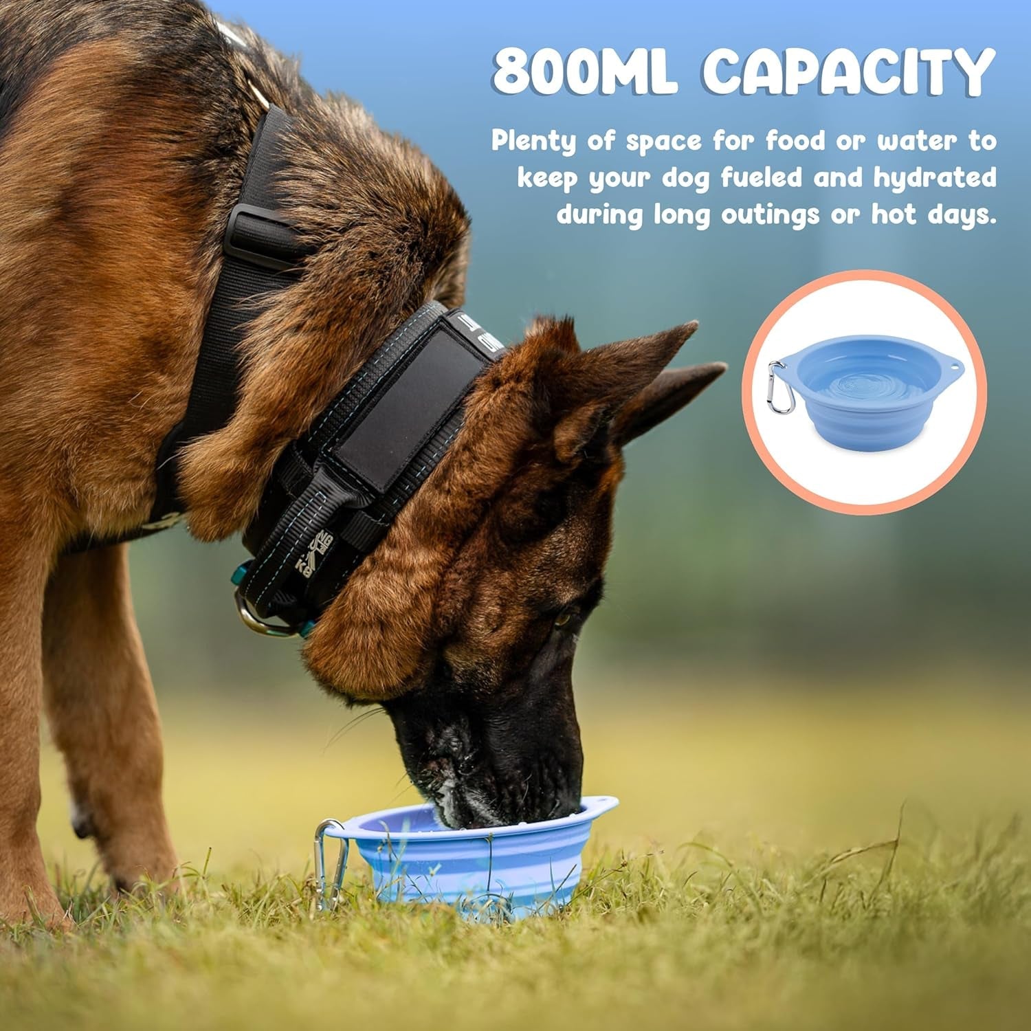 collapsible-dog-bowl-800ml-27-oz-portable-silicone-travel-water-bowl-for-dogs-with-carabiner-foldable-dishwasher-safe-hiking-camping-dog-essentials-outdoor-pet-feeding-blue