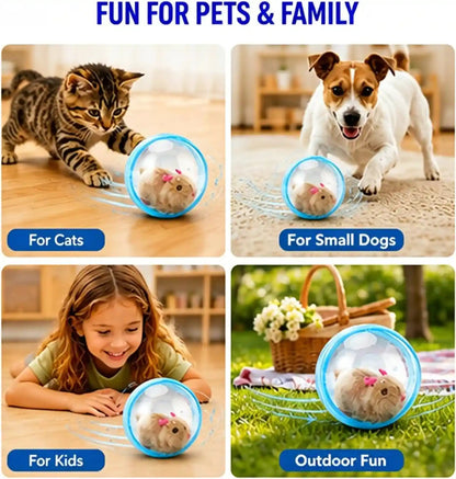 2026 New Self-Rolling Interactive Cat Ball Realistic Animal Automatic Moving Rolling Cat Ball 360° Rolling Spin Moving Cat Ball Fun Indoor Interactive Pet Ball for Cats Dogs Chasing (Blue, Mouse-A)6