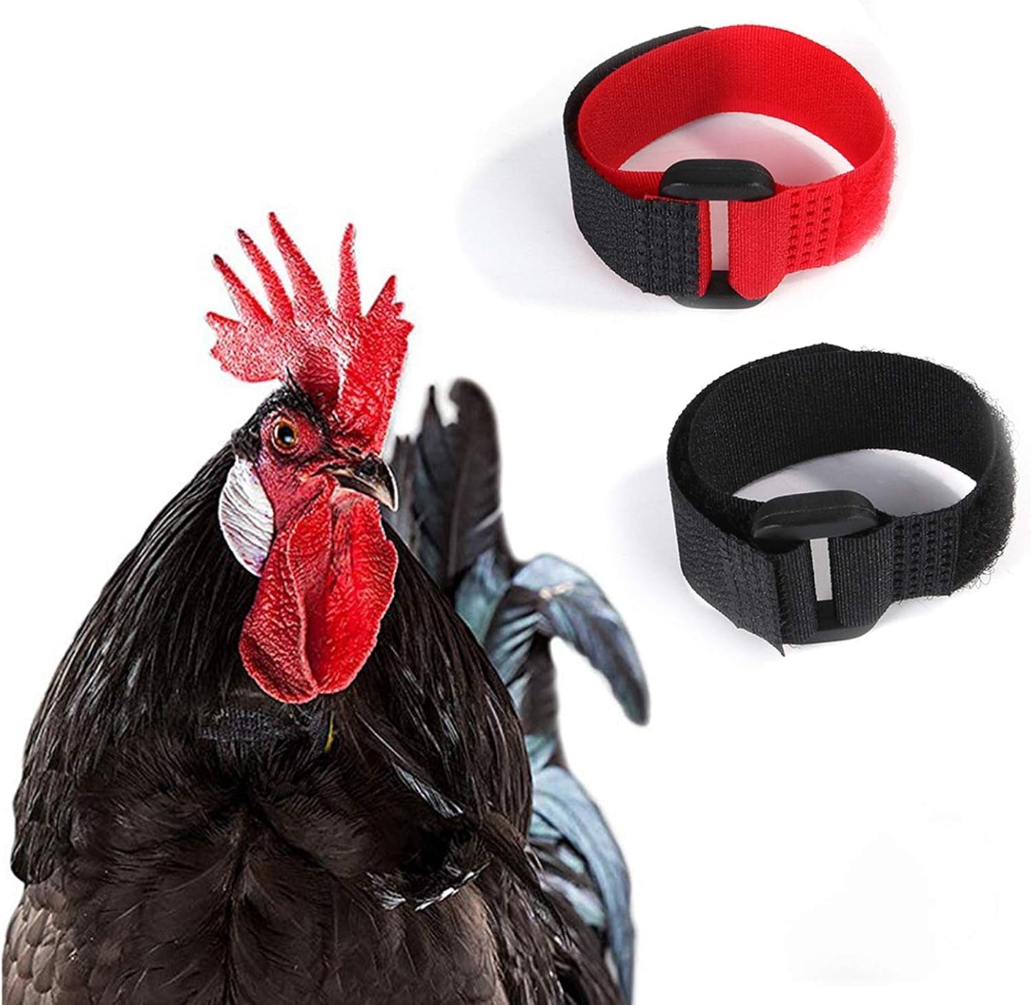 2pcs-red-crow-rooster-collar-crow-collar-rooster-collarno-crow-noise-neck-belt-for-roosters-collars-harnesses-and-leashes-nylon-prevent-chickens-from-screaming-basic-dog-collars-basic-collars
