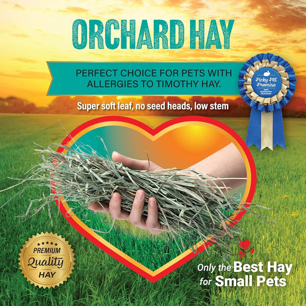 Small Pet Select Orchard Grass Hay Pet Food, 2 Lb.5