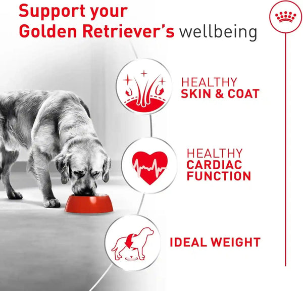 ROYAL CANIN Golden Retriever Adult Dry Dog Food, 30 Lb Bag5