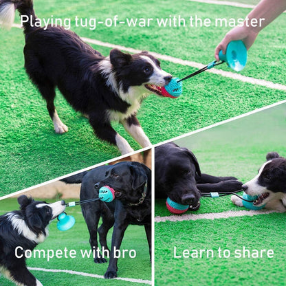 ALLRIER Dog Toys to Keep Them Busy for Boredom,Interactive Dog Toys Tug of War, Mentally Stimulating Toys for Dogs, Puppy Teething Puzzle Treat Food Dispensing Ball Toy for Small Medium Dogs2