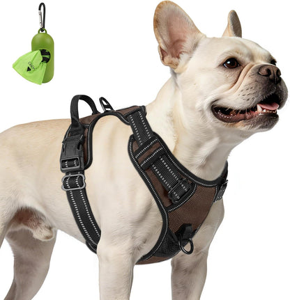 Joytale No Pull Dog Harness Medium Sized Dog, Front Clip, Black | Grab Handle for Instant Control, Padded & Adjustable Vest, Sturdy Metal D-Rings, for Safe Training & Daily Walking35