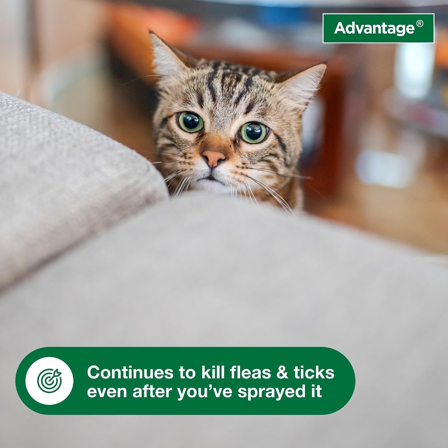 advantage-carpet-upholstery-spot-spray-kills-fleas-ticks-bedbugs-16-oz