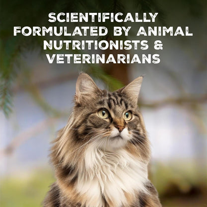 Blue Buffalo Wilderness Tasty Chicken Crunchy Cat Treats, Grain-Free Cat Treats, Real Chicken, Natural Ingredients, Enhanced with Vitamins, Minerals & Other Nutrients, Great for Training, Tub 12 Oz.6