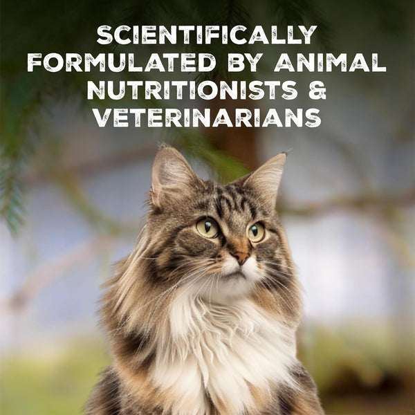 Blue Buffalo Wilderness Tasty Chicken Crunchy Cat Treats, Grain-Free Cat Treats, Real Chicken, Natural Ingredients, Enhanced with Vitamins, Minerals & Other Nutrients, Great for Training, Tub 12 Oz.6