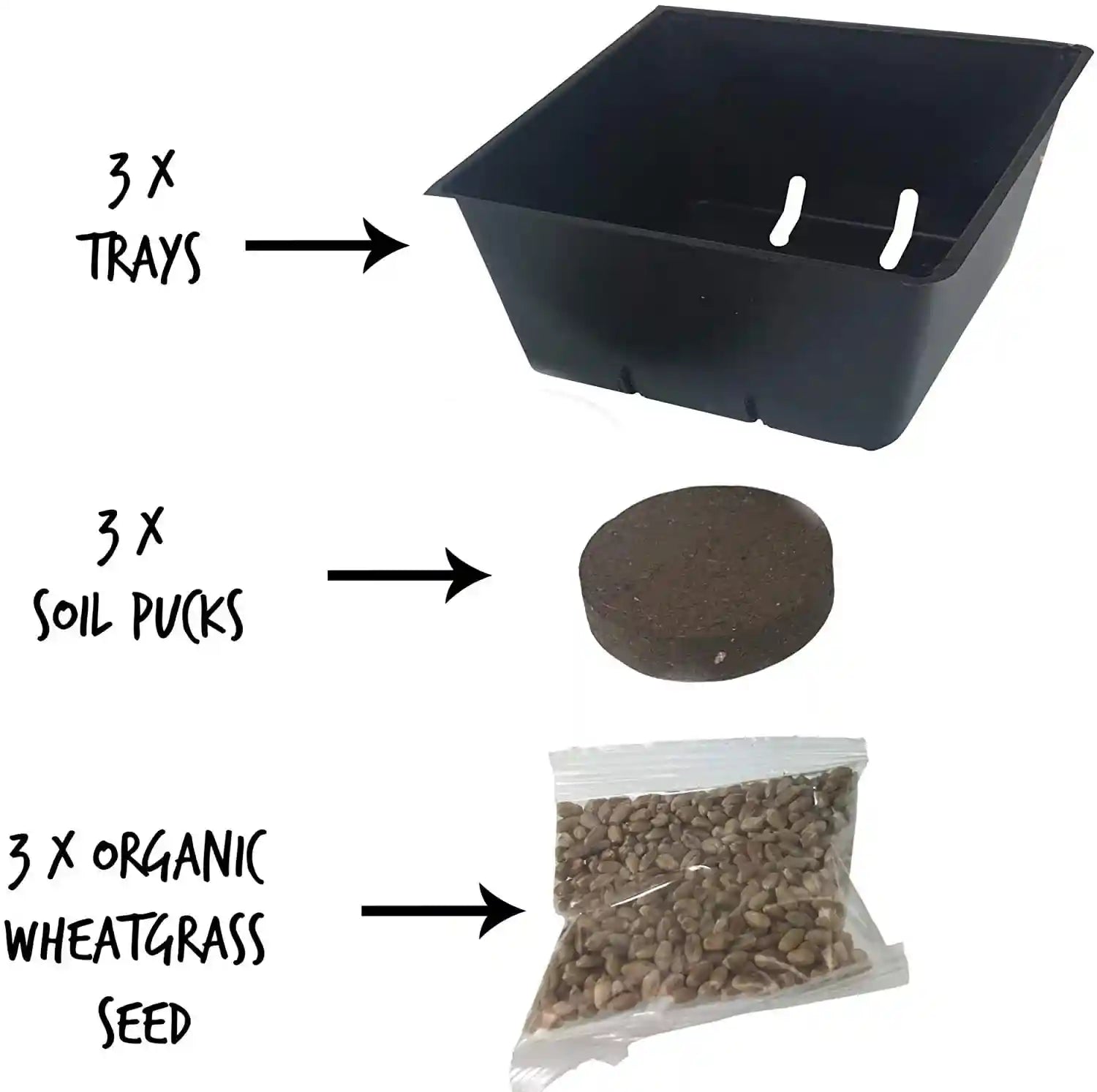 handy-pantry-organic-cat-grass-kit-includes-3-trays-soil-pucks-and-3-packs-non-gmo-wheatgrass-seed-a-healthy-treat-for-cats-dogs-rabbits-more