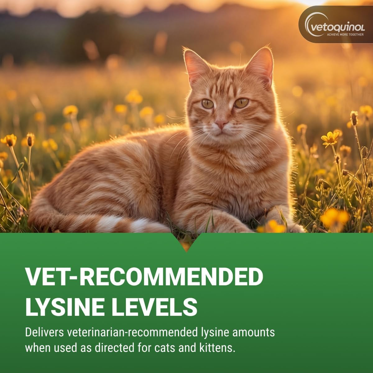 vetoquinol-viralys-lysine-supplement-for-cats-kittens-supports-eye-wellness-respiratory-health-immune-strength-flavored-oral-gel-for-easy-feeding-daily-use-for-picky-eaters-5oz