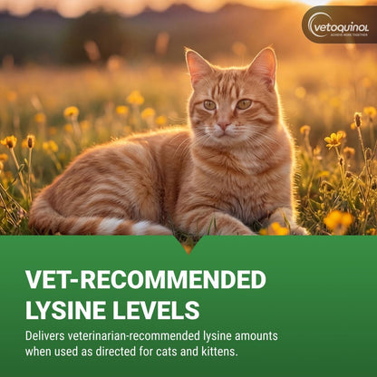 Vetoquinol Viralys - Lysine Supplement for Cats & Kittens - Supports Eye Wellness, Respiratory Health & Immune Strength - Flavored Oral Gel for Easy Feeding & Daily Use for Picky Eaters - 5Oz5