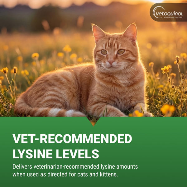 Vetoquinol Viralys - Lysine Supplement for Cats & Kittens - Supports Eye Wellness, Respiratory Health & Immune Strength - Flavored Oral Gel for Easy Feeding & Daily Use for Picky Eaters - 5Oz5