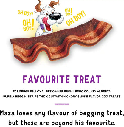 Purina Beggin' Strips Real Meat Dog Treats, Thick Cut Hickory Smoke Flavor - (Pack of 2) 26 Oz. Pouches7