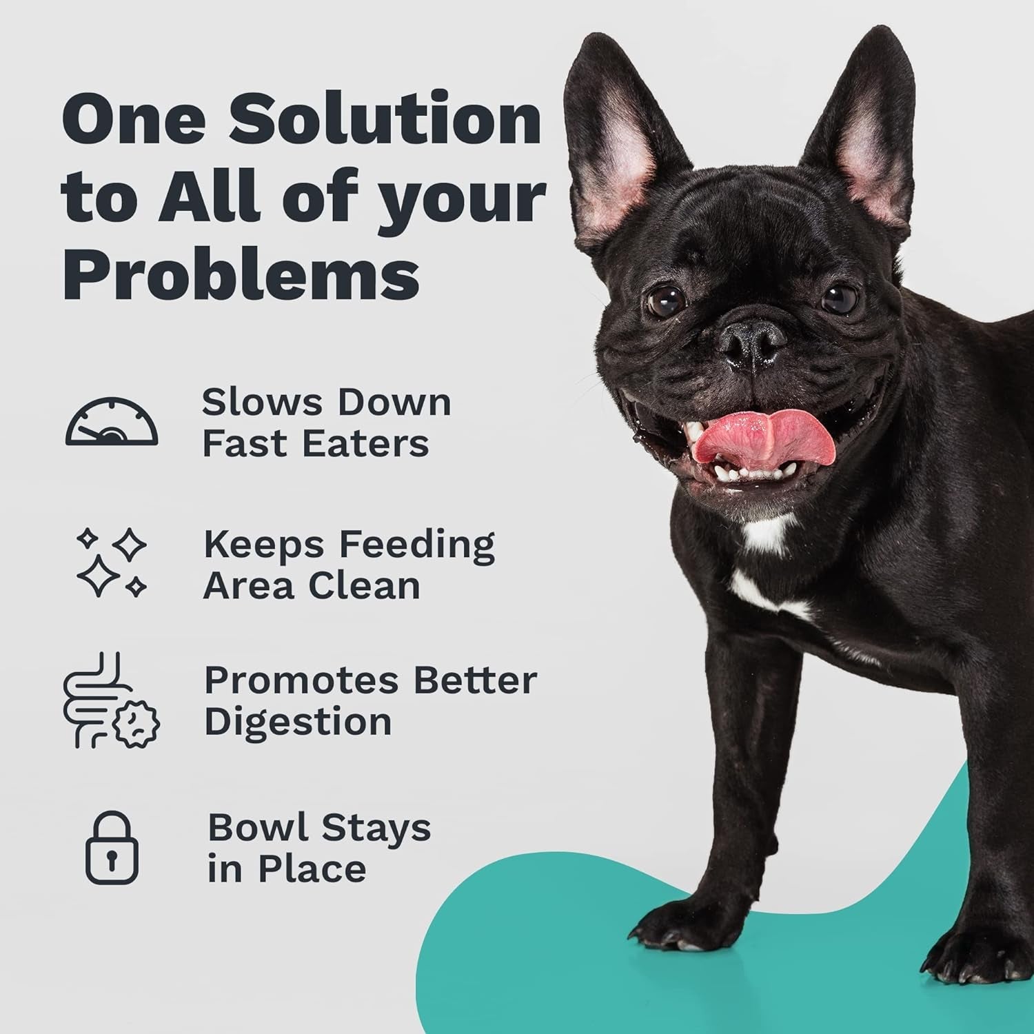 enhanced-pet-bowl-stainless-steel-slanted-dog-bowl-with-raised-ridge-for-flat-faced-dog-breeds-or-cats-food-grade-non-slip-no-spill-bowl-for-dogs-less-mess-less-gas-and-better-digestion-small