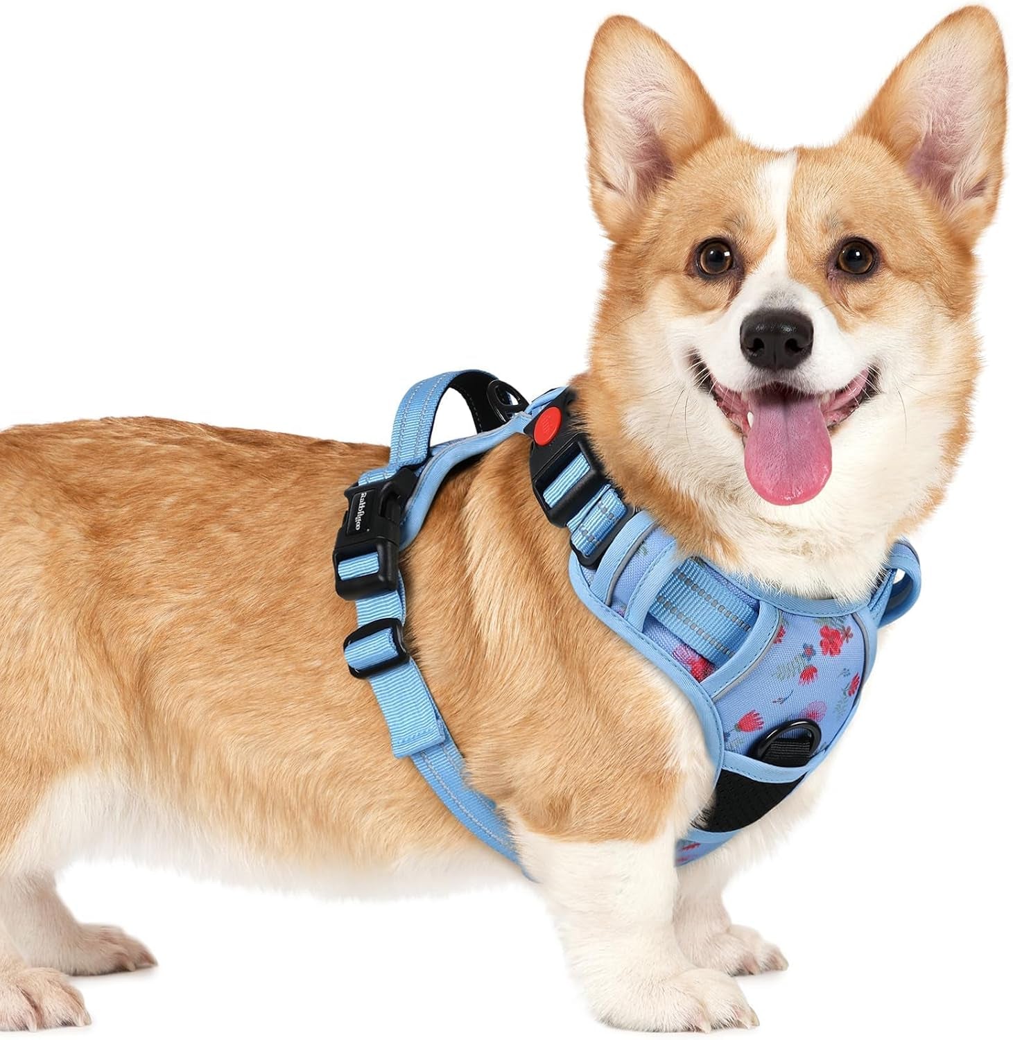 rabbitgoo-dog-harness-medium-sized-updated-easy-on-off-with-3-buckles-no-pull-no-choke-walking-with-2-clips-and-handle-adjustable-soft-reflective-blue-medium
