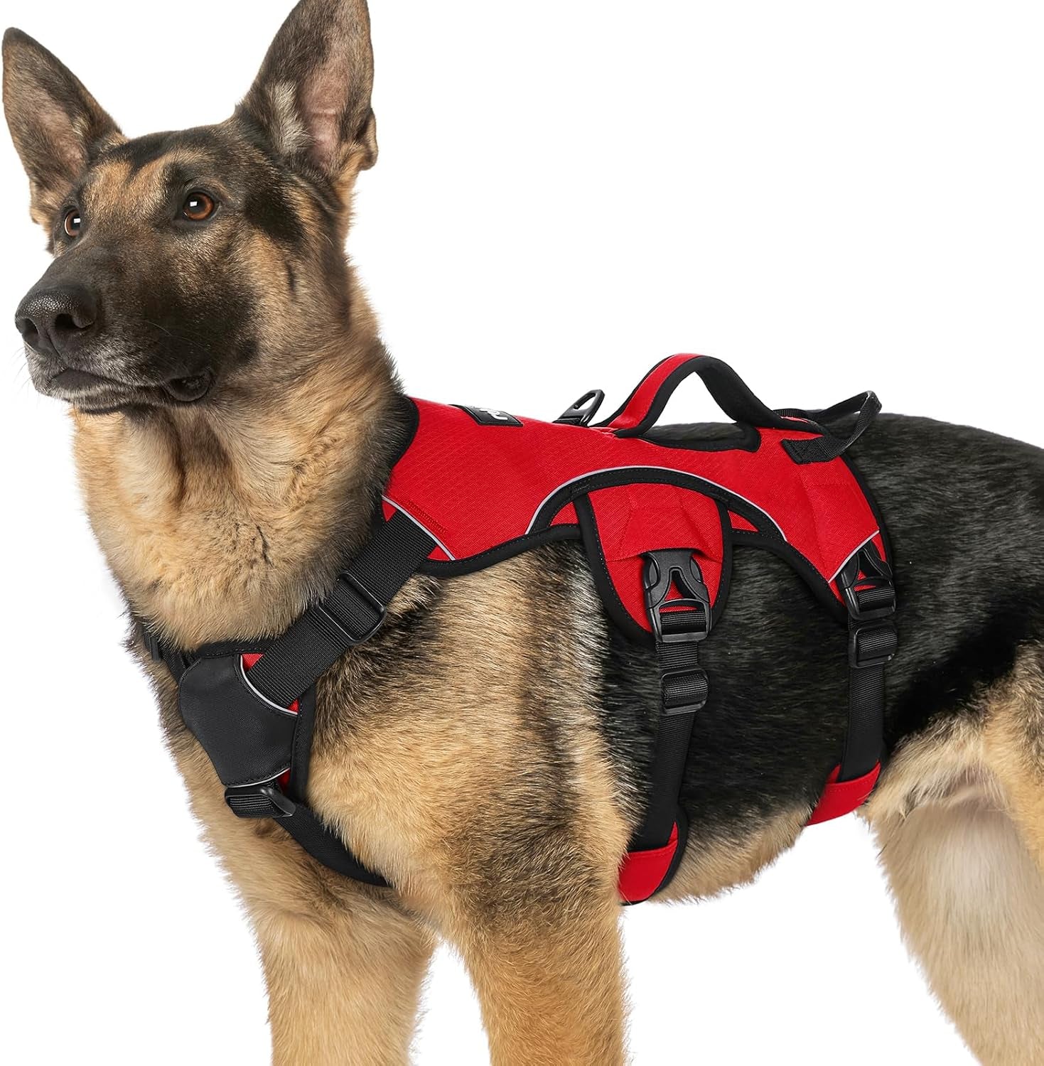 rabbitgoo-escape-proof-dog-harness-for-large-no-pull-with-lift-handle-no-escape-full-soft-padded-reflective-adjustable-vest-leash-clip-for-walking-hiking-training-black-large