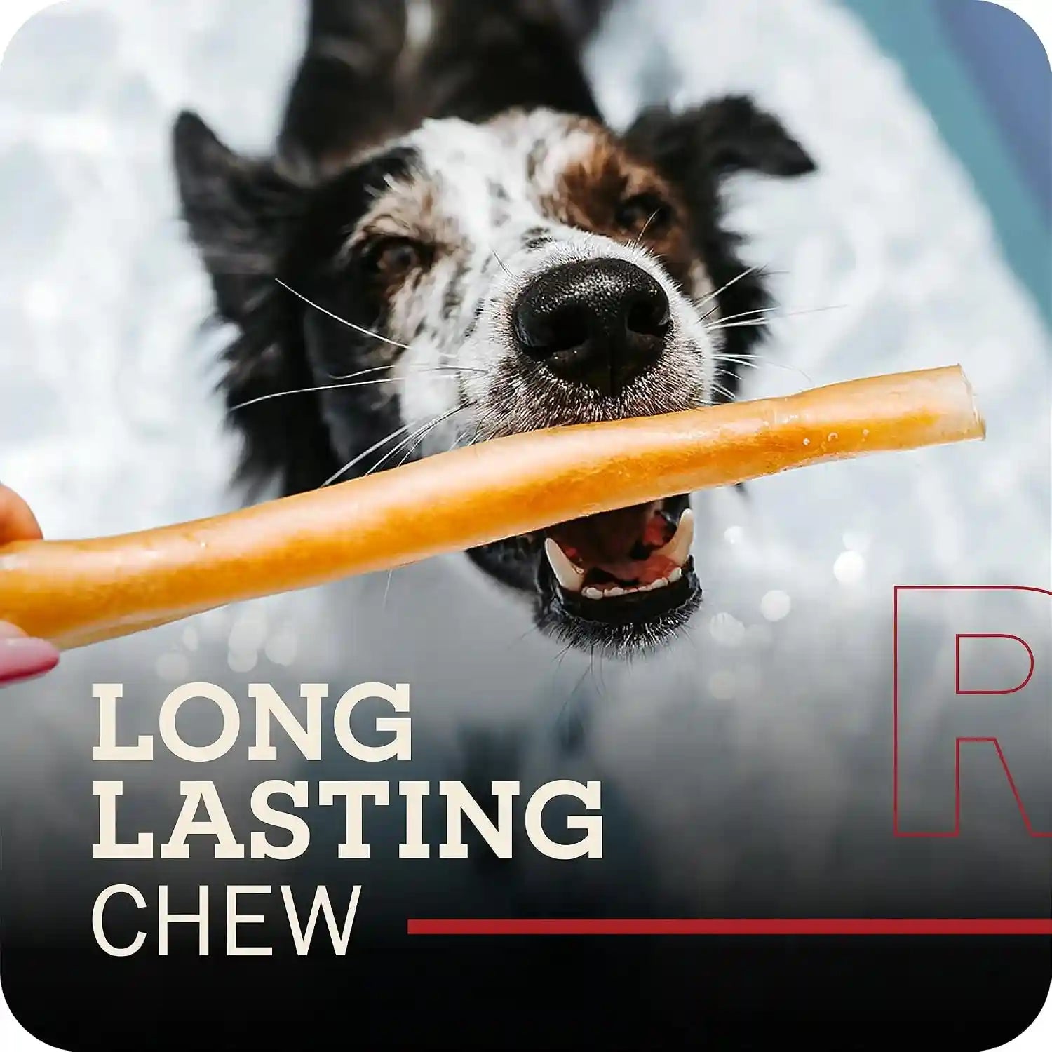 redbarn-pet-products-all-natural-large-12-beef-collagen-sticks-for-dogs-long-lasting-low-odor-alternative-to-traditional-rawhide-bully-sticks-supports-healthy-joints-skin-coat-3-pack