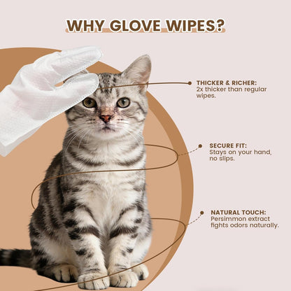 IMMHABI 50 Count Cleaning Deodorizing Pet Glove Wipes for Dogs & Cats, Hypoallergenic Dog Bath Wipes with Natural Deodorizer Persimmon Tannin, Pet Bathing Wipes for Horse Coat Care Coconut Scent2