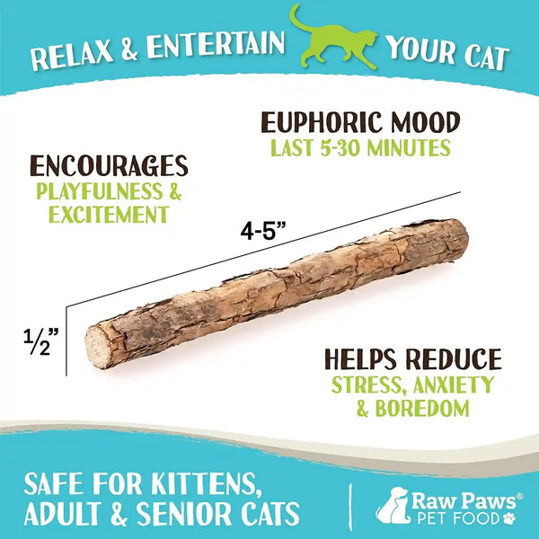 Raw Paws Silvervine Sticks for Cats (30-Count) - Dental Cat Chew Stick | Catnip Alternative - Matatabi Cat Toy - Silver Vine Sticks - Indoor Cat Enrichment & Chewing3