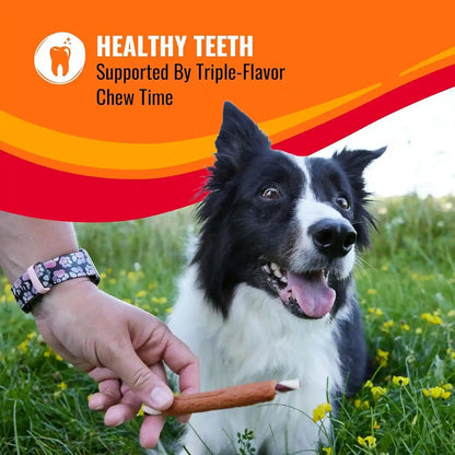 Good 'N' Fun Rolls Long-Lasting Dog Treat, for Large Dogs, with Real Proteins, Beef Hide and Premium Chicken, Supports Dental Health, Mental Stimulation, 6 Count4