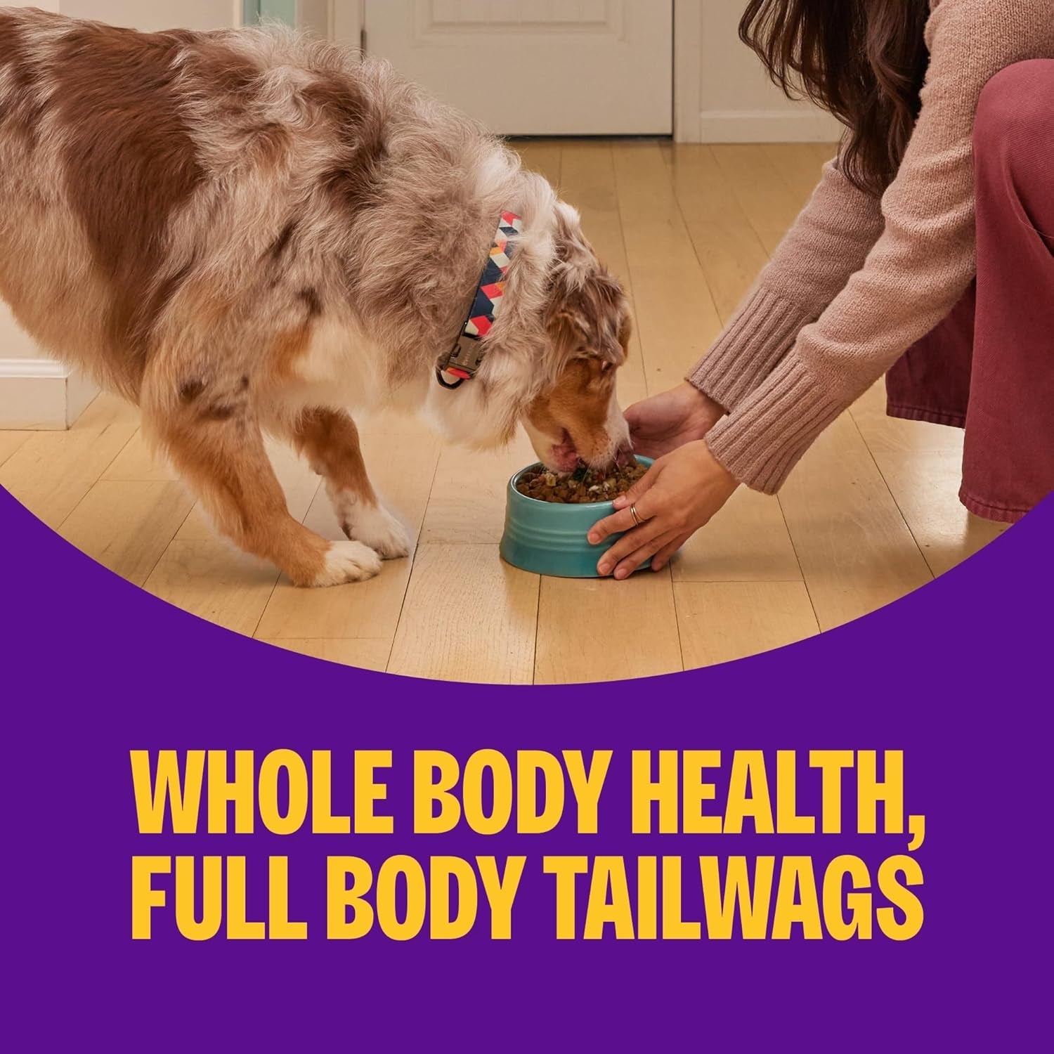 wellness-complete-health-adult-dry-dog-food-with-freeze-dried-wellbites-wholesome-grain-kibble-natural-chicken-and-oatmeal-recipe-4-lb-bag
