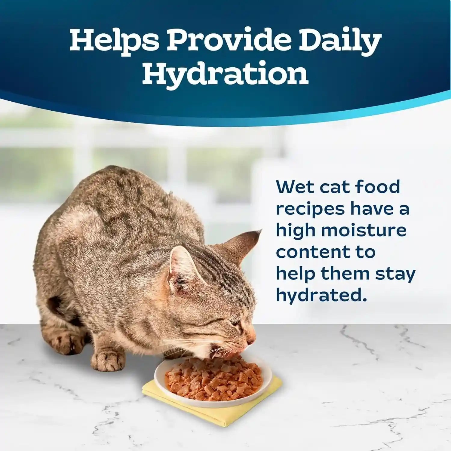 blue-buffalo-tastefuls-savory-singles-variety-pack-wet-cat-food-in-gravy-2-6-oz-twin-pack-trays-chicken-turkey-entree-12-count