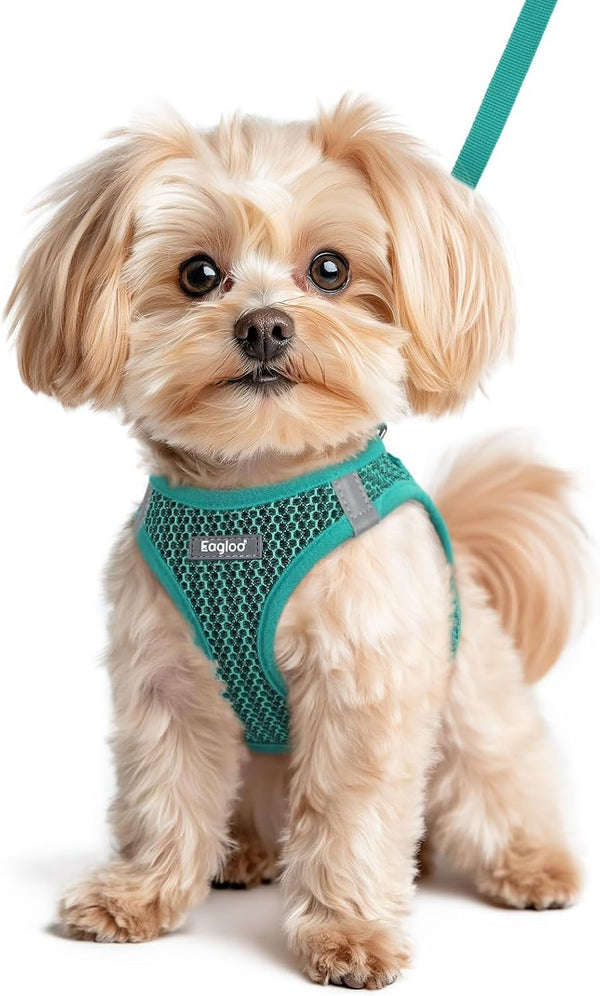 Eagloo Small Dog Harness and Leash Set, Step in Small Sized Puppy Pet Vest | Light, Soft, Breathable Air Mesh, Easy on and off with Hook & Loop, Reflective for Safe Walking, Pink, S36