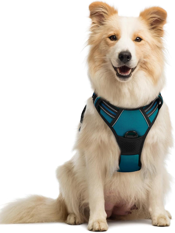 Rabbitgoo Dog Harness, No Pull for Large Dogs with 2 Leash Clips, Pet Vest | No Choke with Handle, Adjustable Soft Padded, Reflective, Easy Control for Walking, Black, Large129