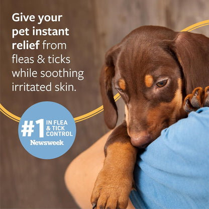 Veterinary Formula Flea and Tick Shampoo for Dogs and Cats, 16 Oz5