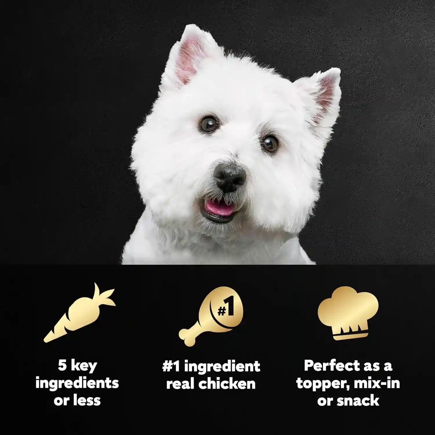 cesar-simply-crafted-wet-dog-food-toppers-chicken-1-3-oz-10-count-real-chicken-1-ingredient-no-by-products-or-artificial-flavors-slow-cooked-easy-to-digest-single-serve-tubs